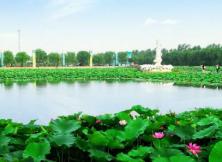 壽光林海生態園、青州古城、青云山民俗風園超值二日游 壽光林海生態園、青州古城、青云山民俗風園超值二日游