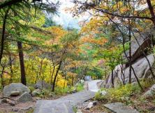 昆崳山泰礡頂純玩一日游