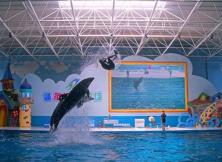 【2021春游蓬萊】蓬萊海底世界純玩一日游 【2021春游蓬萊】蓬萊海底世界純玩一日游