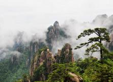 【黃山看秋】婺源篁嶺宏村雙飛4日游