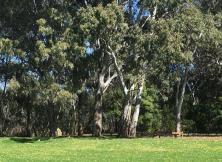 B線.桂林/大漓江/世外桃源/銀子巖/古東瀑布/遇龍河漂流/雙飛5日游