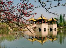 【清明假期】揚(yáng)州興化泰州大巴三日游