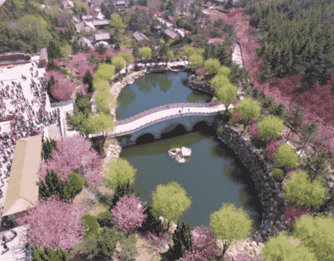 微信截圖_20190410125740