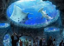 港澳+長隆親子6日游