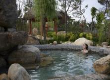 【冬季】湯泊溫泉一日游