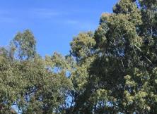 玩轉江南— 華五+烏鎮+木瀆+清河坊街 三大夜景+黿頭渚雙飛六日游  一價全含