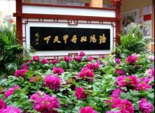 【三月游云臺(tái)山】河南云臺(tái)山紅石峽、潭瀑峽、茱萸峰、神州牡丹園、少林寺富貴花開雙飛三日游