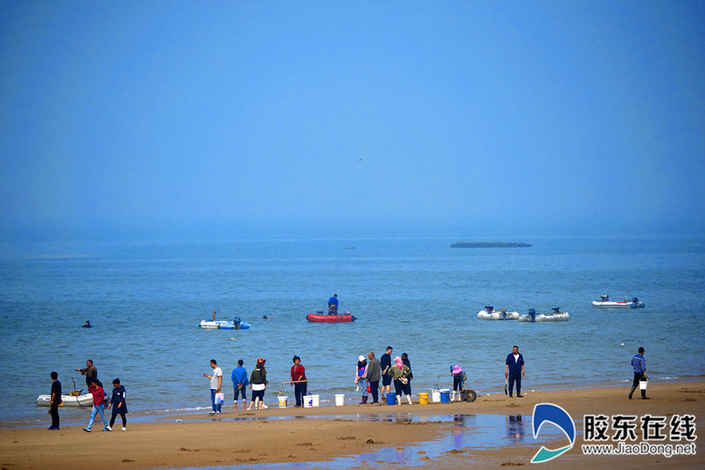 17路論壇網(wǎng)友隨手拍：海邊采蟶人(組圖)