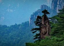 【春節假期】大美黃山+徽州古村落西遞+木坑竹海+千島湖+婺源篁嶺+屯溪老街 純玩雙飛六日游