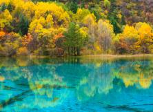 （開業促銷）---成都.米亞羅紅葉區.九寨溝.黃龍 雙飛雙動8日游