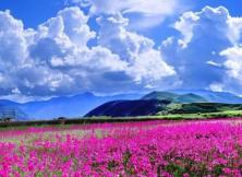 隱覓*悅榕莊”昆大麗三飛六游