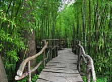 【2021暑假出游】地下大峽谷、螢火蟲水洞、竹泉村、紅石寨二日游 【2021暑假出游】地下大峽谷、螢火蟲水洞、竹泉村、紅石寨二日游