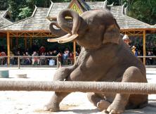 【11月云南純玩團】昆明、西雙版納臻純玩-花筒裙雙飛6日游