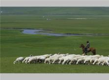 【赤峰草原】貢格爾、達里諾爾湖、渾善達克沙地雙飛五日游 【赤峰草原】貢格爾、達里諾爾湖、渾善達克沙地雙飛五日游