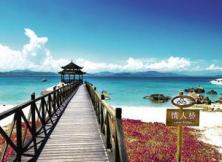 嘉華旅游——-隨享廈門、鼓浪嶼雙飛四日游（半自助游）散拼