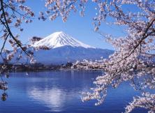 日本本州伊豆雙溫泉美食6日游