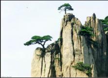 【7月游黃山】醉美婺源+險秀黃山+桃花源里西遞+第一秀水千島湖、湖光山色純玩雙飛五日游