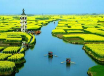 千島油菜花海大巴三日游