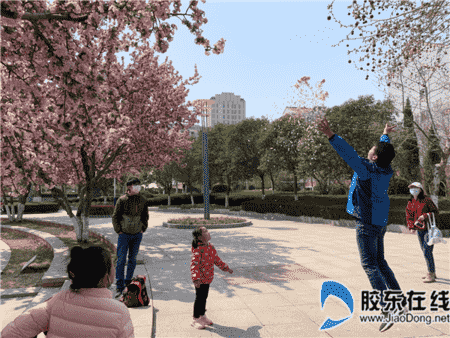 美了醉了！煙臺這個小區(qū)空氣是香甜的