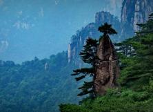 【7月游黃山】醉美婺源+險(xiǎn)秀黃山+桃花源里西遞+第一秀水千島湖、湖光山色純玩雙飛5日游