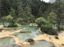 【金秋十一】成都九寨溝黃龍都江堰雙飛六日游