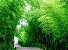 【清明假期】無極鬼谷、日照竹洞天、東夷小鎮二日游