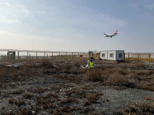 烏機(jī)場分公司飛行區(qū)管理部開展跑道東端專項(xiàng)生態(tài)調(diào)研工作