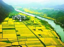 揚州個園、李中水上森林、興化油菜花+泰州老街大巴三日游