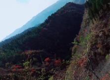 【6月】長白山西北連坡+丹東河口斷橋+鴨綠江+朝鮮民族村