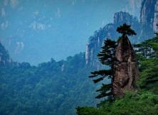 【11月游黃山】大美黃山+九華山 +西遞+塔川秋色+千島湖+屯溪老街山水九華純玩雙飛六日游