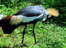 煙臺周邊：威海動物園一日游（周六日發(fā)）