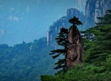 【2021清明假期】險秀黃山+桃花源里西遞+石林純玩雙飛四日游