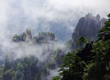 【春節假期】大美黃山+西遞+木坑竹海+宏村+婺源+屯溪老街 純玩雙飛休閑四日游