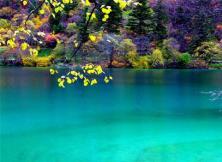 【大美四川】成都九寨黃龍雙飛六日游