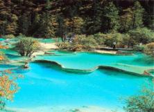 清明假期：成都九寨不用跟團，半自由行走起來！