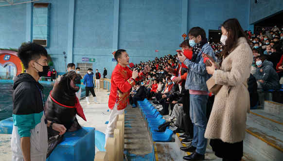 虎年“萊”蓬玩點不一樣！八仙過海度假區春節活動先劇透