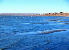 海拉爾：根河濕地  呼倫貝爾  雙飛六日游