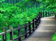 【國慶假期】無錫黿頭渚、水鄉木瀆周莊烏鎮、杭州宋城千古情、上海環博金融中心夜艷江南雙飛五日游