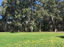 奇幻親子游--夢幻雙園共狂歡 凱蒂貓樂園+迪士尼樂園 暑假親子純玩雙飛六日