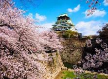 6月1、8、15、22日 尊享本州溫泉休閑6日游（阪靜）