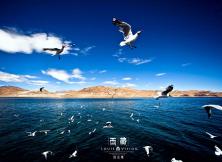 煙臺到西藏雙飛一臥8日頂級絕美地