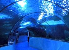 蓬萊海底世界+長島漁家樂休閑二日游 （天天發）