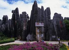 夕陽紅專列-昆明 大理 麗江 西雙版納 石林 貴陽 黃果樹瀑布 重慶 武隆空調(diào)包列14日游