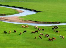 貢格爾草原 玉龍沙湖 阿斯哈圖石林  白音敖包 西拉沐淪河漂流 大青山  赤峰博物館海陸空親子五日游
