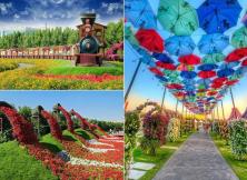 海底撈“真”——海南雙飛6日