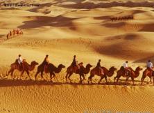 希拉穆仁大草原、銀肯響沙灣成吉思汗陵、召城雙飛五日游