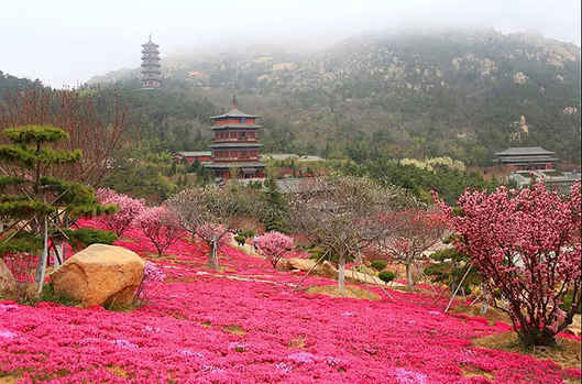 喜迎五一 榮成赤山重磅推出一處網紅打卡地 美如仙境