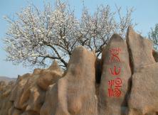 【冬泡溫泉季】棲霞艾山溫泉一日游