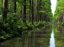 “水天堂”幸福之旅——泰州+揚州專列純玩四日游