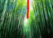 最美竹泉村、生態(tài)馬泉休閑園、探秘螢火蟲水洞、游地下大峽谷二日游